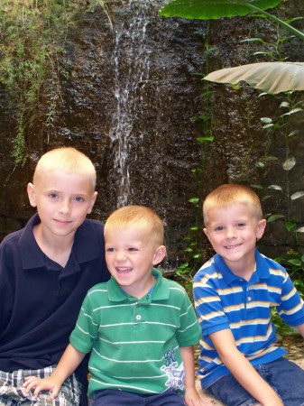 My 3 Grandson