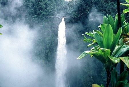 Akaka Falls