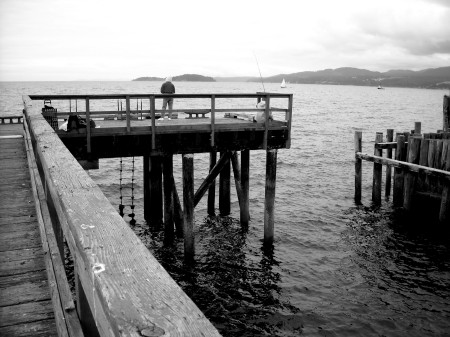 Davis Bay Pier