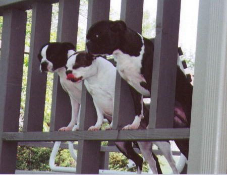 Bonnie & Clyde with cousin Jake in the center.