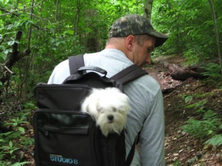 Hiking in the Mountains