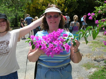 A flower garden in Jamaica - Spring 2006