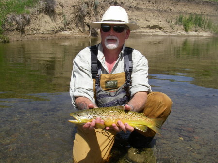 Piney Creek Brown