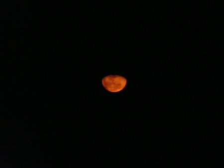 moon rise over the Everglades