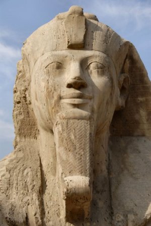 a sphinx in Memphis Egypt