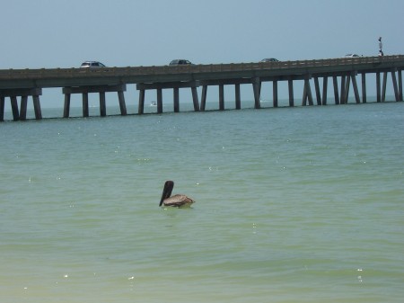 Pier In Fort Myers