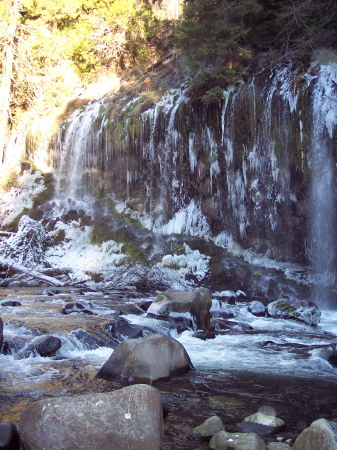 Mossbrea falls after a freeze