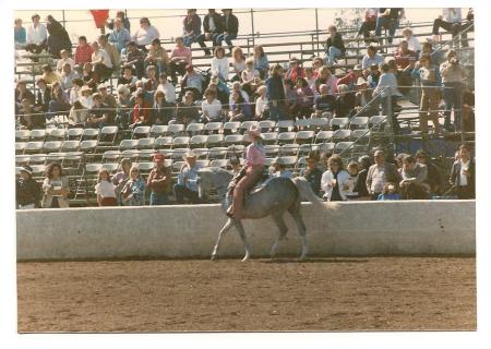 Scottsdale Arizona Arabian Horse Show