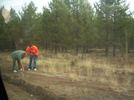 These are elk tracks and that elk poop!