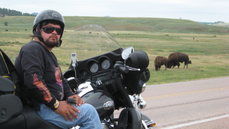 This is me in South Dakota by the Buffalo rese