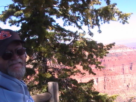 At the Grand Canyon