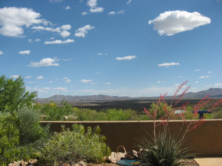 Front porch view