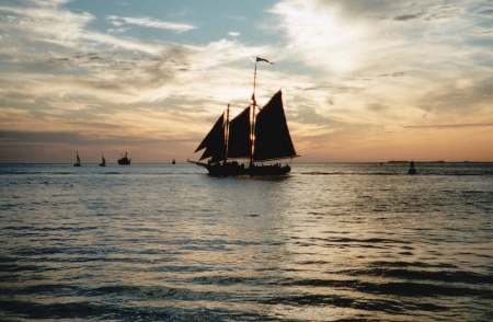 Looking for Treasure Island or Key Largo  ?