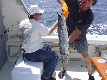Wahoo or whats left after a cuda or shark