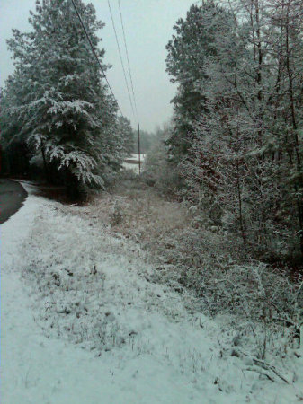 LIGHT DUSTING BY MID DAY