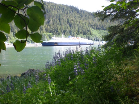Summer view of Juneau