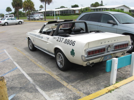 Shelby Convertible - Venice Beach 2008