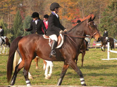 Rocky Fork Headley Hunt