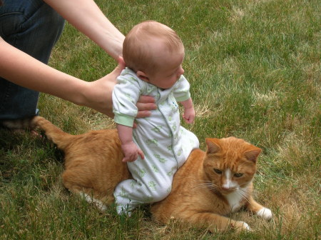 BABY CARTERS 1ST CAT RIDE 2008