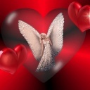 Love_Angel