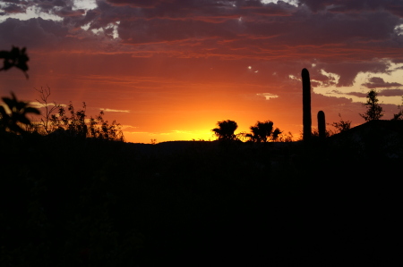 Arizona Sunset