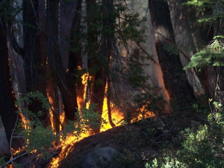 Fire in California 2008