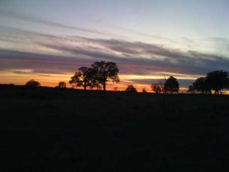 Farm Sunset