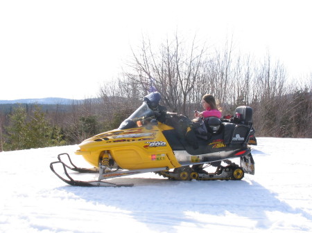 chelsea on sled 800 great pic