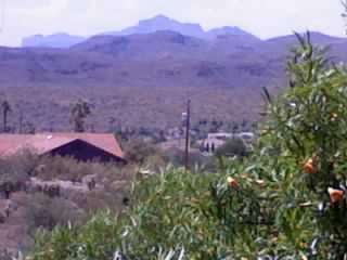 THE VEIW FROM MY HOUSE