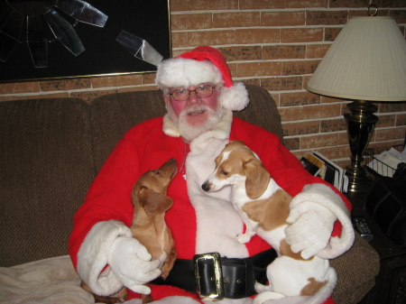 Santa and his dogs deers.