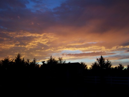 A Kansas sunset.