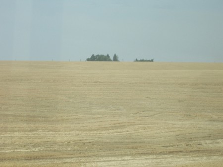 Victory Acres, our wheat farm; Aug.