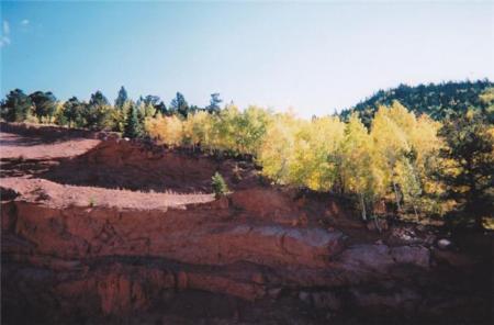 Fall view near Cripple Creek