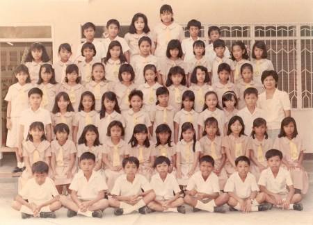 SY 1985-1995