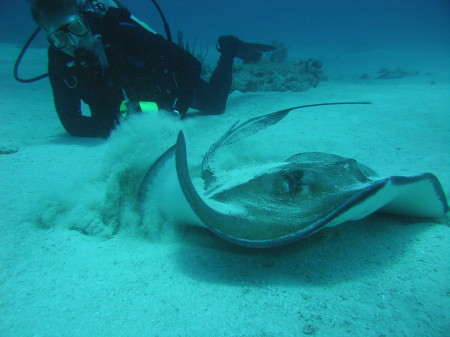 St Maarten