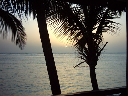 Mombasa Kenya Costal Sunset