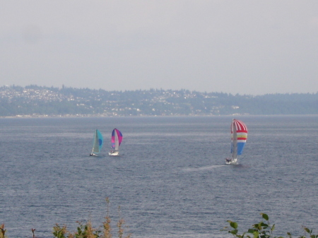 From Bainbridge view