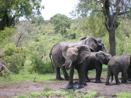 Zimbabwe 2007