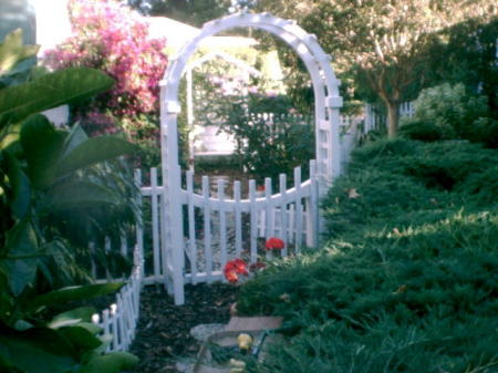 My garden gate