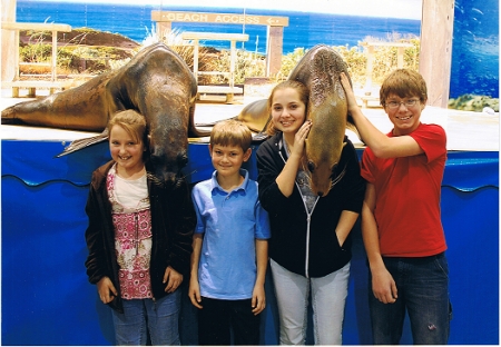My Kids and Sea Lions