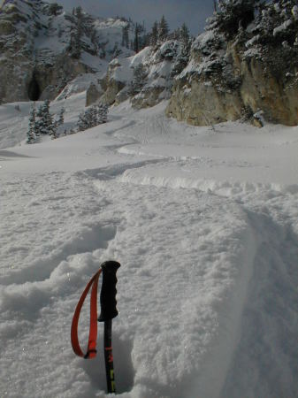 skiing pow at Solitude
