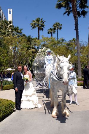 2008 Fairy Tale Wedding Disneyland, California