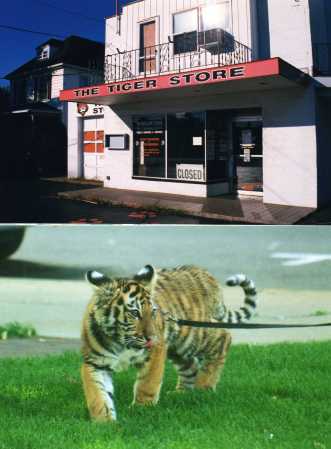 Studers Tiger Store