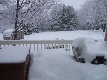 My backyard Winter, for all you FLORIDIANS!