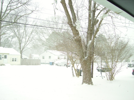 Snow storm 2010 001