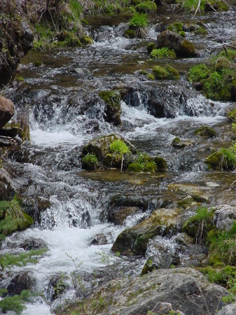 iron creek in spearfish canyon - mb