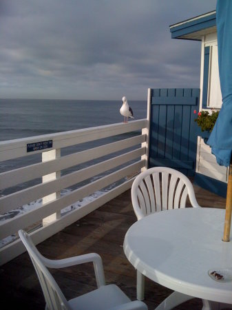 Crystal Pier patio