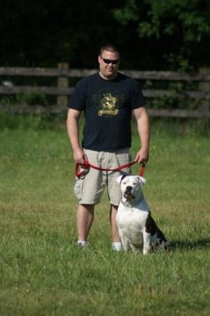 me and my male american bull dog