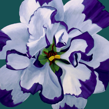 White and Purple Flower