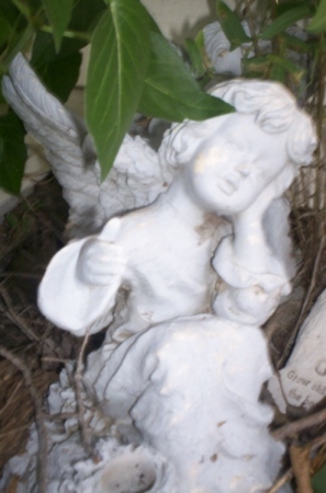 "Angel in Flower Bed"